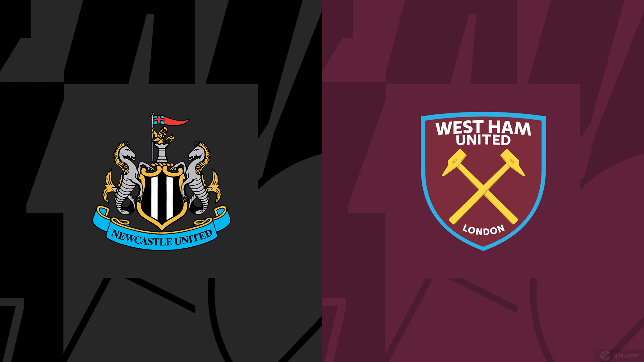 將森林狼的 將森林狼的